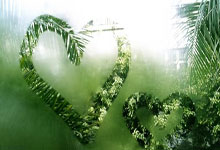 足球比分比分直播500是什么？怎么用？