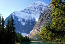 墨西哥对阵波兰，这场世界杯小组赛比分会如何？